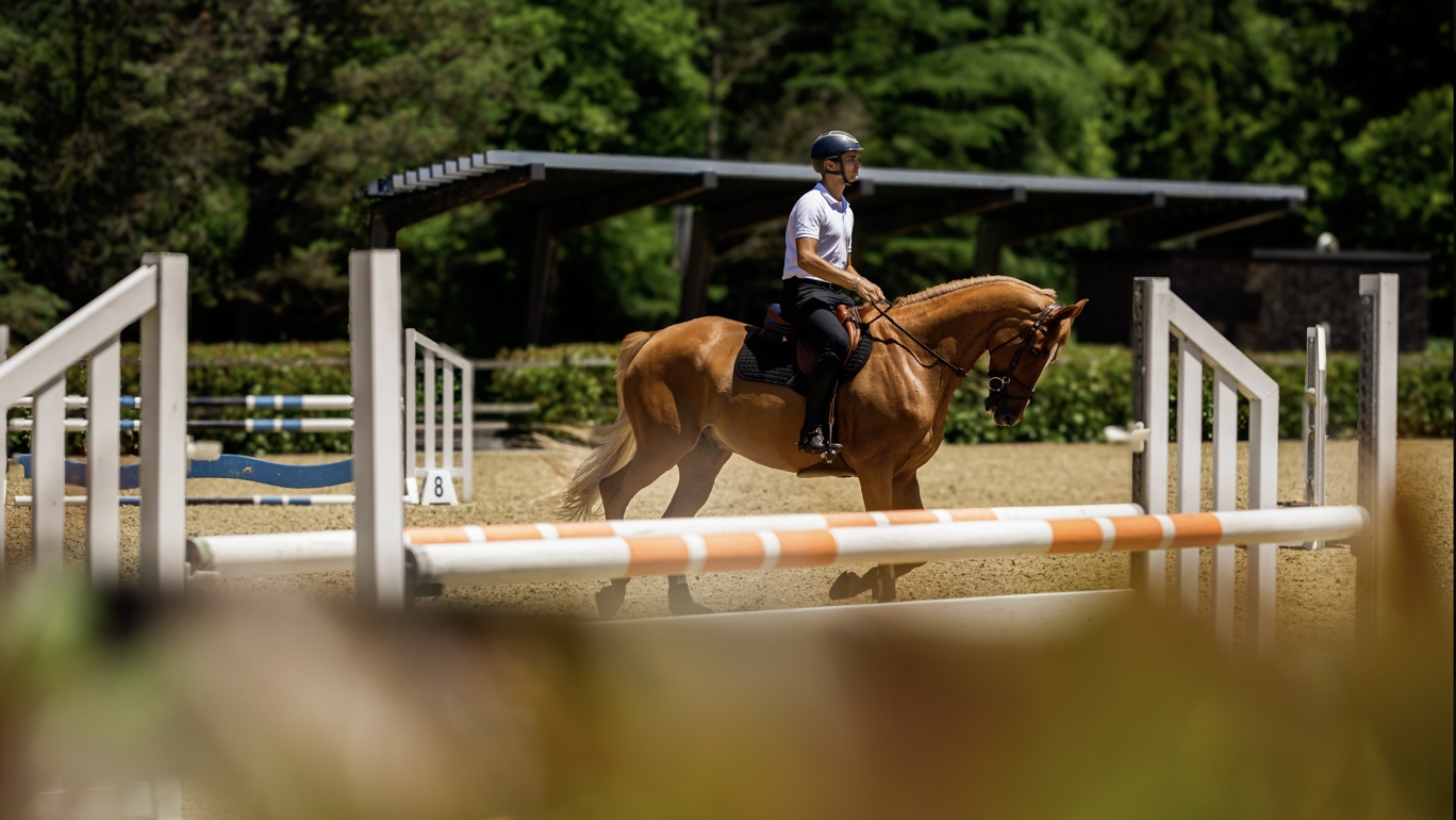 Aliée & Carpe Diem ‘The Circle Cup’ CSI*