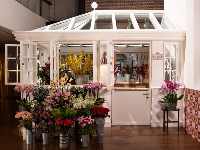 A Floral Encounter Within Aliée