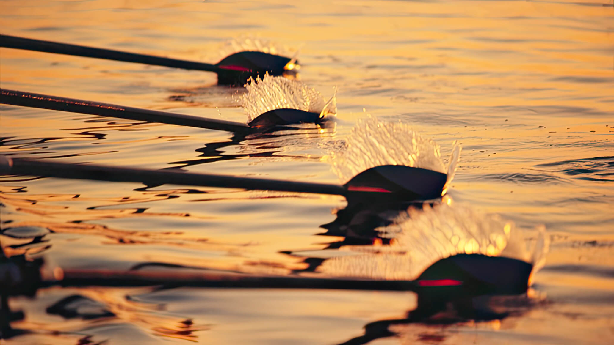 Row or sail on the Golden Horn