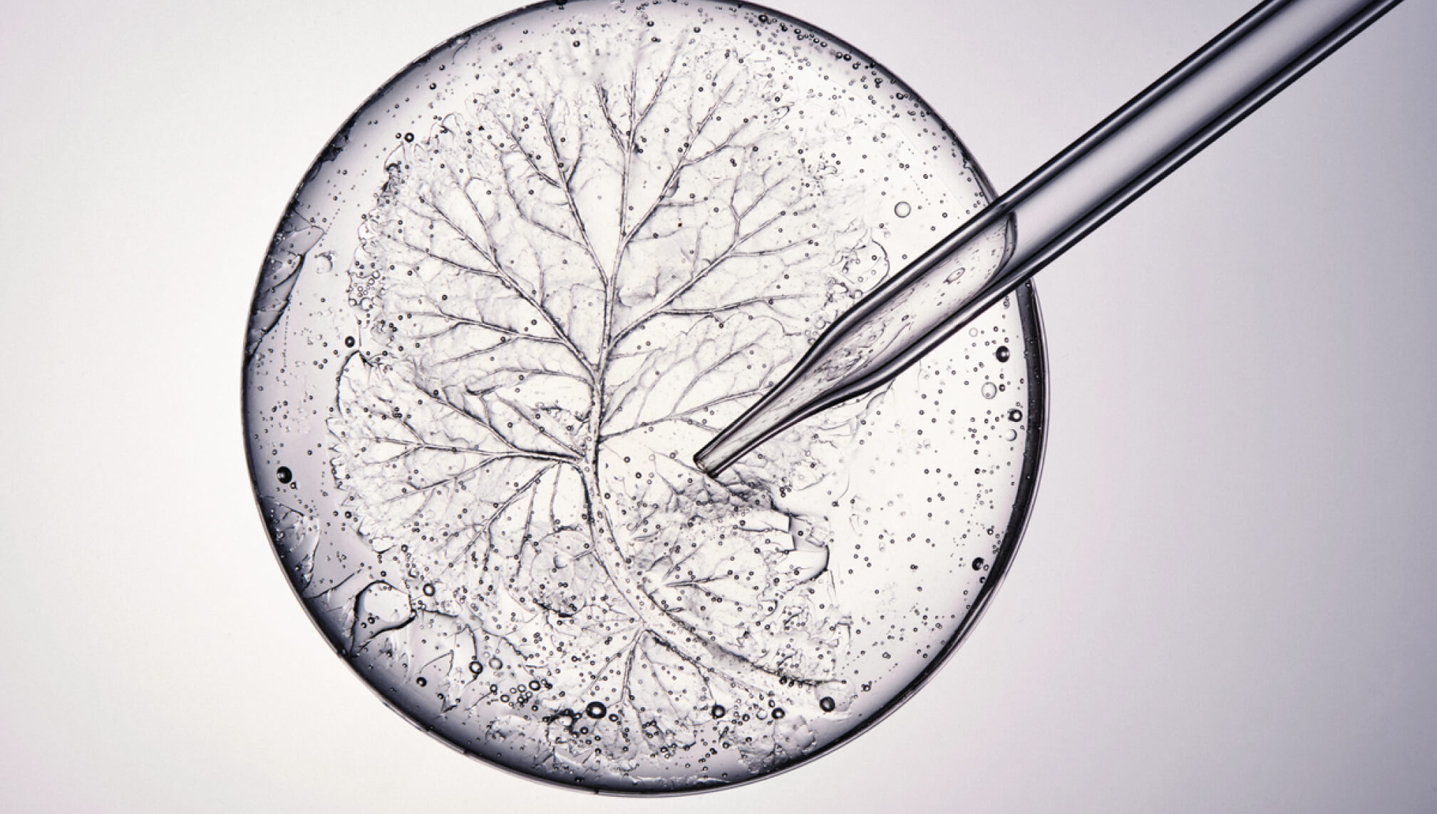 360º Longevity Packages