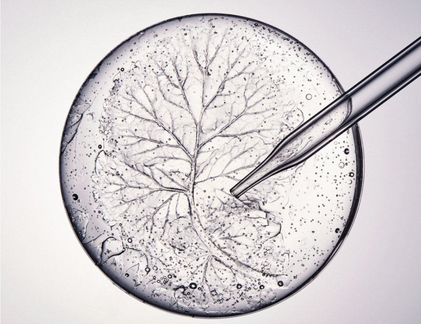 360º Longevity Packages